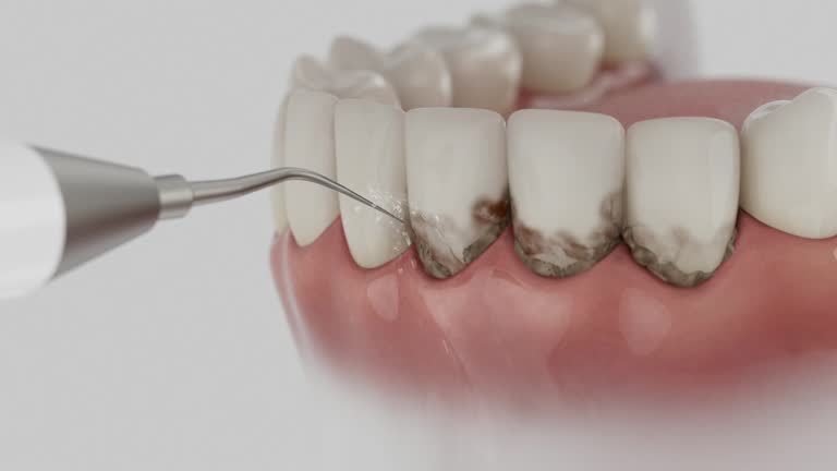 Reliable Dental contractor in Grand Haven, MI by Dentist Open Now